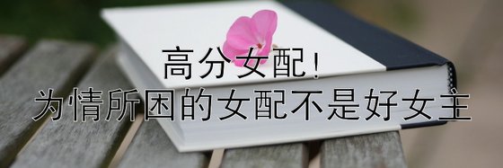 高分女配！为情所困的女配不是好女主